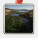 Search for your point is christmas tree decorations Seashore