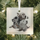 Search for english setter christmas tree decorations Hunting