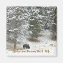 Search for national park magnets Yellowstone