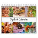 Search for squirrel calendars Cute