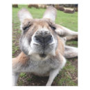 Search for funny animal art Kawaii