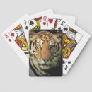 Search for tiger playing cards Nature