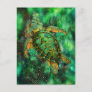 Search for sea turtle art postcards Green