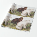 Search for arctic fox wrapping paper Wildlife