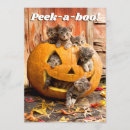 Search for jackolantern invitations Funny