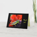 Search for grasshopper cards Insects