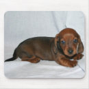 Search for weenies mousepads Pets
