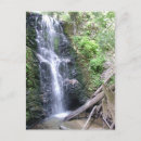 Search for basin postcards Redwoods