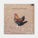 Search for roosters magnets Animal