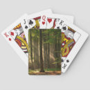 Search for deciduous forest Woods