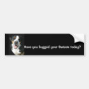 Search for greater bumper stickers Dog