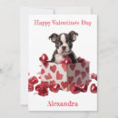 Search for boston terrier valentines day cards Puppy