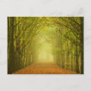 Search for lane postcards Path