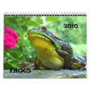 Search for frogs photography Wild