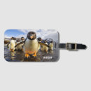 Search for penguin luggage tags Funny