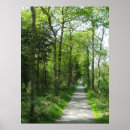 Search for path art Forest