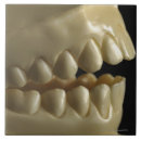 Search for dental photography Hygiene