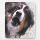 Search for herding electronics Pet