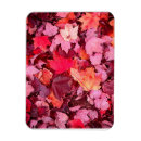 Search for fall leaf magnets Colourful