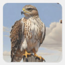 Search for perch stickers Animal