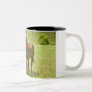 Search for horse pictures mugs Wild west