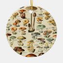 Search for vintage mushroom christmas tree decorations Food