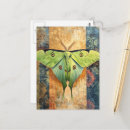 Search for luna moth postcards Fantasy