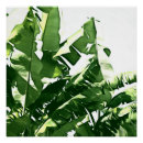 Search for leaves painting posters Botanical