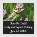 Search for swallowtail butterfly invitations Nature