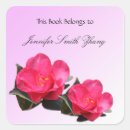 Search for camellia stickers Pink