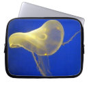Search for ships electronics Ocean