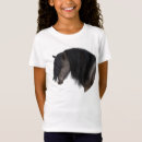 Search for gypsy vanner horse Tinker