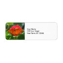 Search for botany return address labels Nature