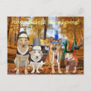 Search for pilgrims cards Funny