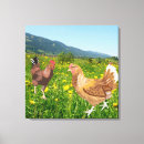 Search for rooster chicken canvas prints Cockerel