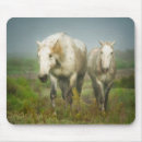 Search for mer mousepads Camargue