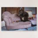 Search for pet puzzles Baby