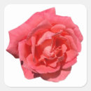 Search for floral photograph stickers Garden
