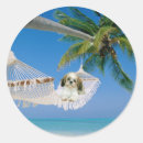 Search for pup labels Dogs