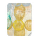 Search for jennifer magnets Geometric