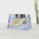 Search for polar bear cub cards Winter
