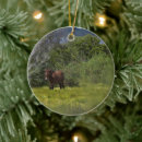 Search for horse christmas tree decorations Animals
