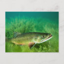 Search for totes postcards Usa