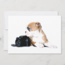 Search for british bulldog cards Cute