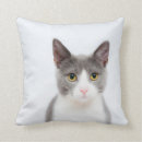 Search for tuxedo cat cushions Animal