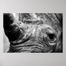 Search for rhinoceroses art Animal