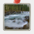 Search for rocky mountaineer christmas tree decorations Outdoors