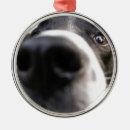 Search for collie christmas tree decorations Cute dog