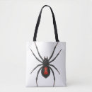 Search for widow spider Nature