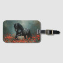 Search for friesian accessories Stallion